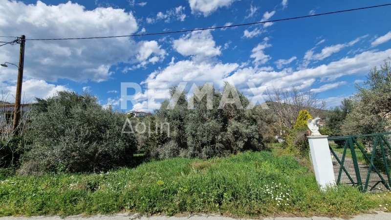 Land, For Sale Land, For Sale