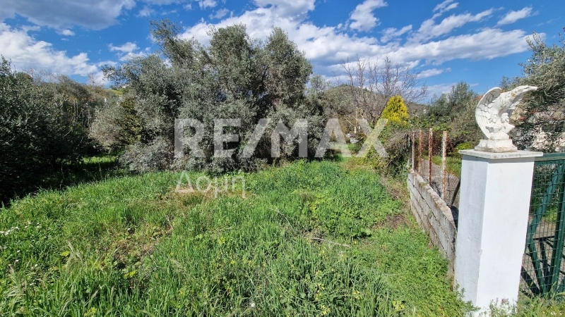 Land, For Sale Land, For Sale
