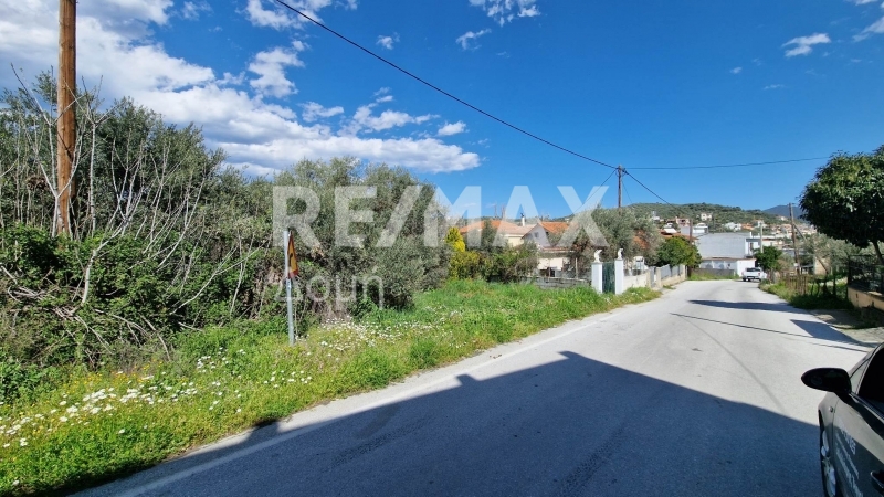 Land, For Sale Land, For Sale