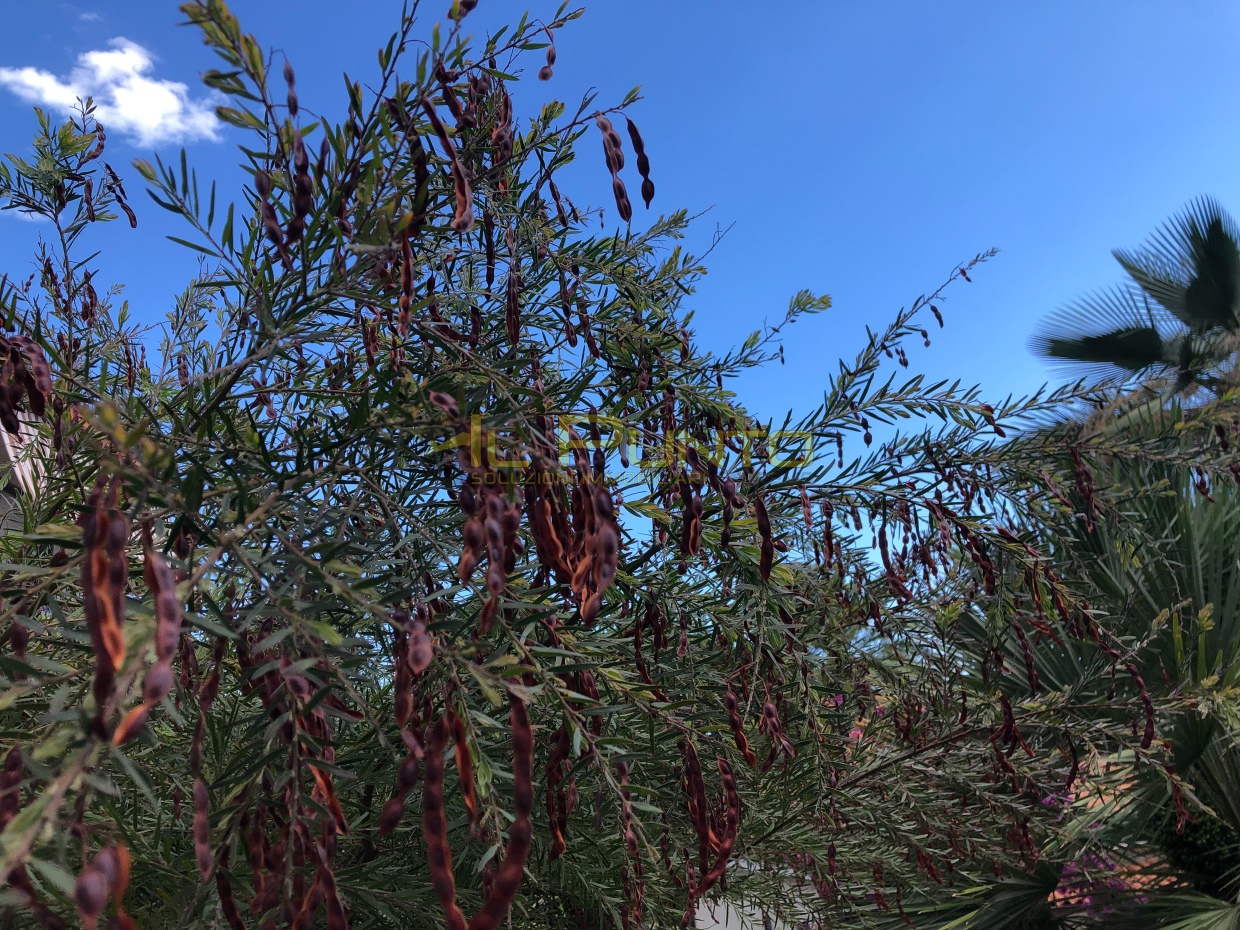 1 Bed, ApartmentFor Sale, Imperia, Liguria