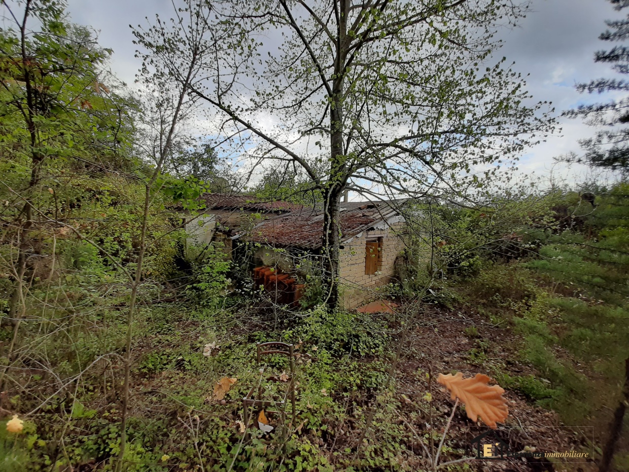 3 Bed, HouseFor Sale, Poggio Catino, Rieti, Lazio 3 Bed, HouseFor Sale, Poggio Catino, Rieti, Lazio