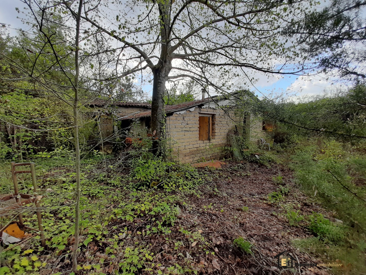 3 Bed, HouseFor Sale, Poggio Catino, Rieti, Lazio 3 Bed, HouseFor Sale, Poggio Catino, Rieti, Lazio