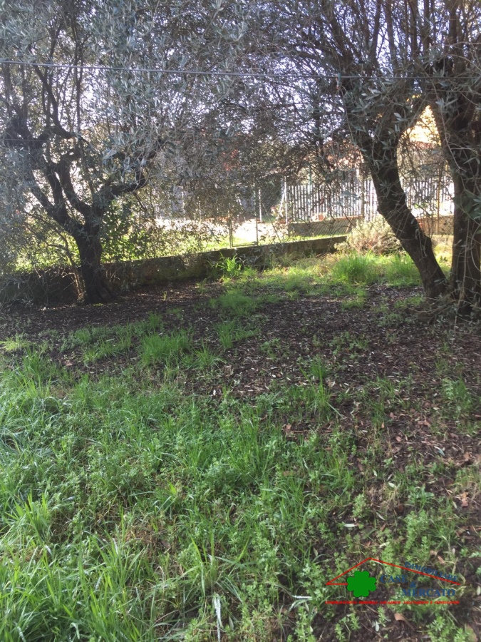 3 Bed, HouseFor Sale, Lucca, Lucca, Toscana