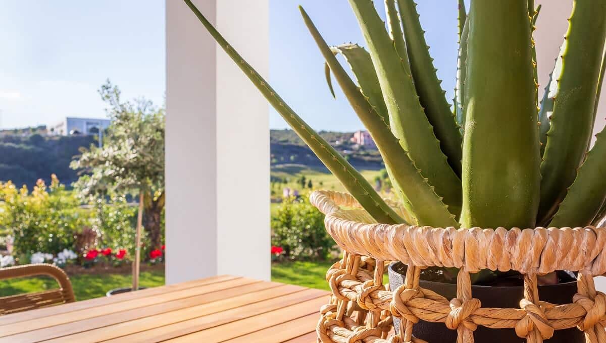 2 Bed, 2 Bath, ApartmentFor Sale, Estepona, Malaga