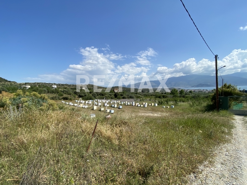 HouseFor Sale, Nees Pagases, Volos, Magnesia HouseFor Sale, Nees Pagases, Volos, Magnesia