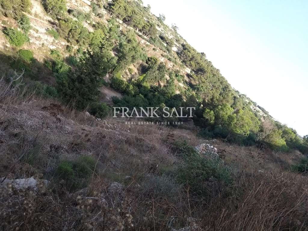 Commercial Property, For Sale