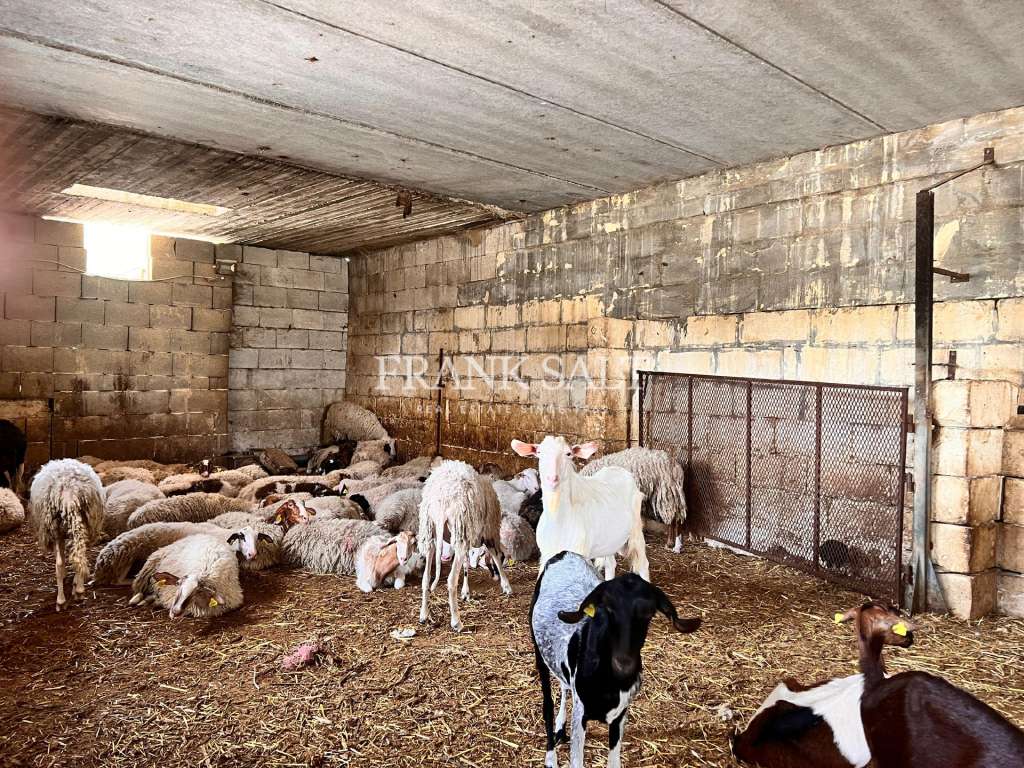 3 Bed, HouseFor Sale, Marsascala, Malta