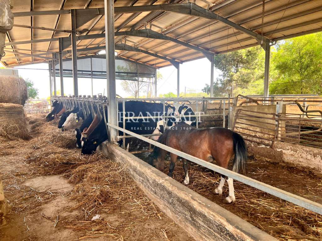 3 Bed, HouseFor Sale, Marsascala, Malta