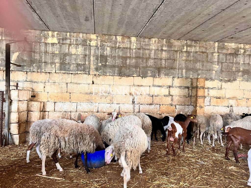 3 Bed, HouseFor Sale, Marsascala, Malta