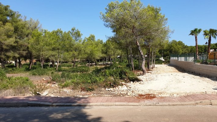 Land, For Sale Land, For Sale