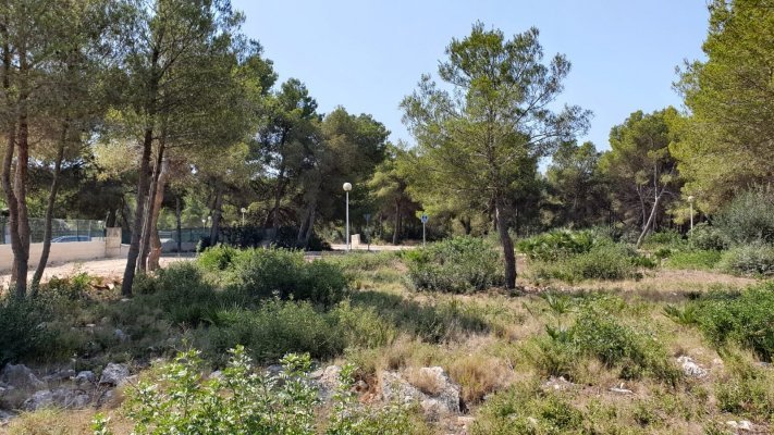 Land, For Sale Land, For Sale