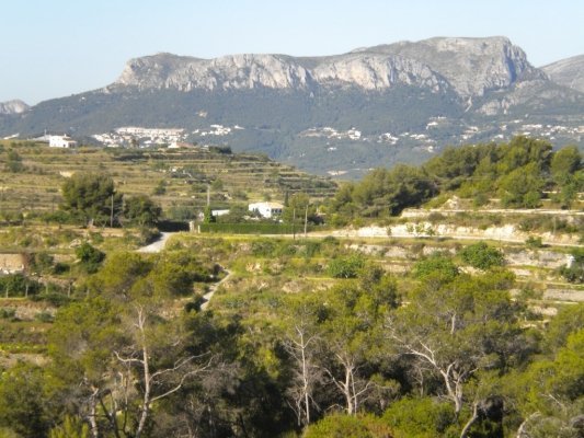 Land, For Sale Land, For Sale