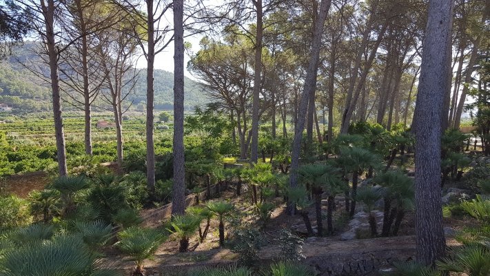 20 Bath, HouseFor Sale, Gandia, Valencia