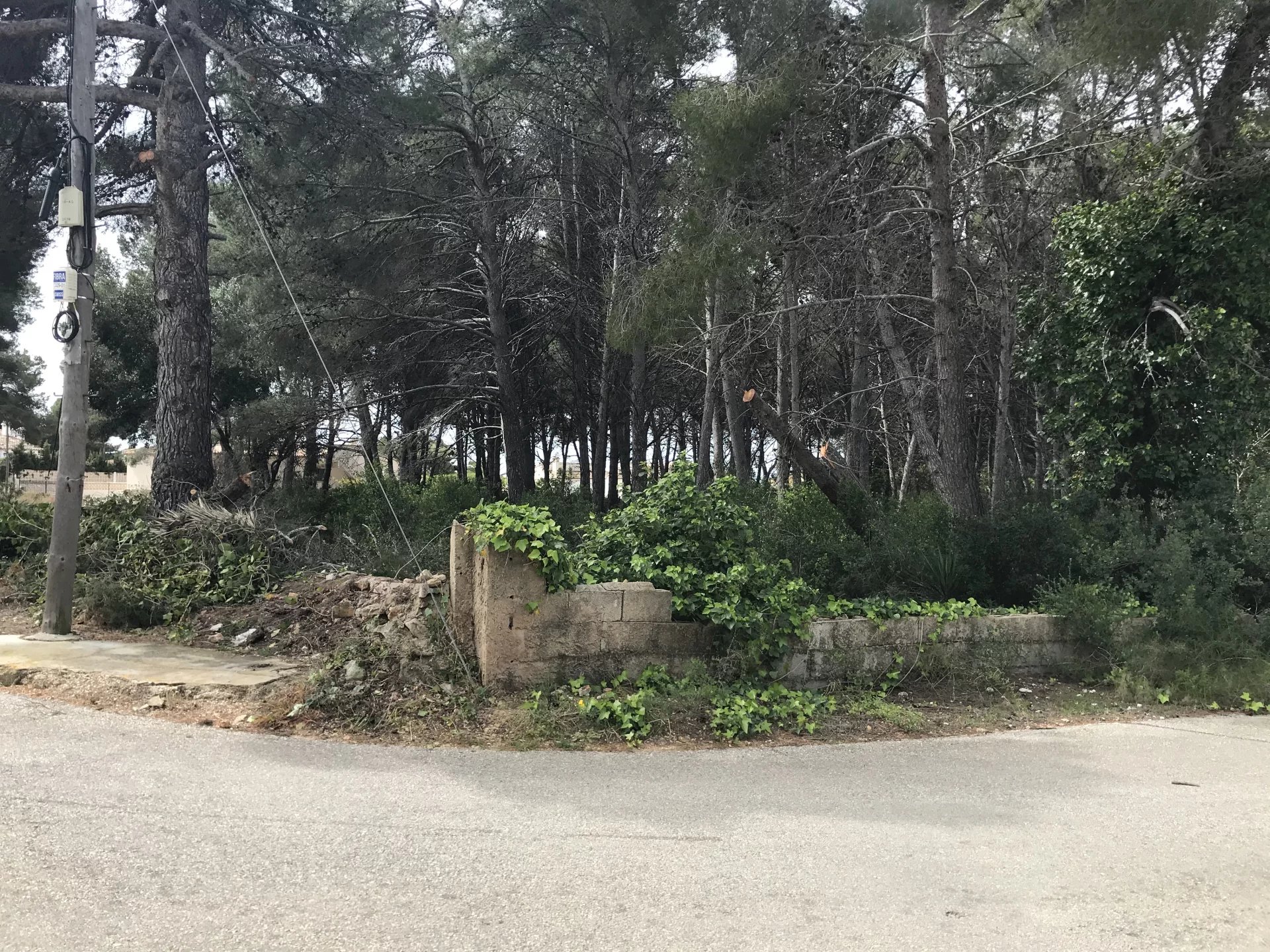 Land, For Sale Land, For Sale