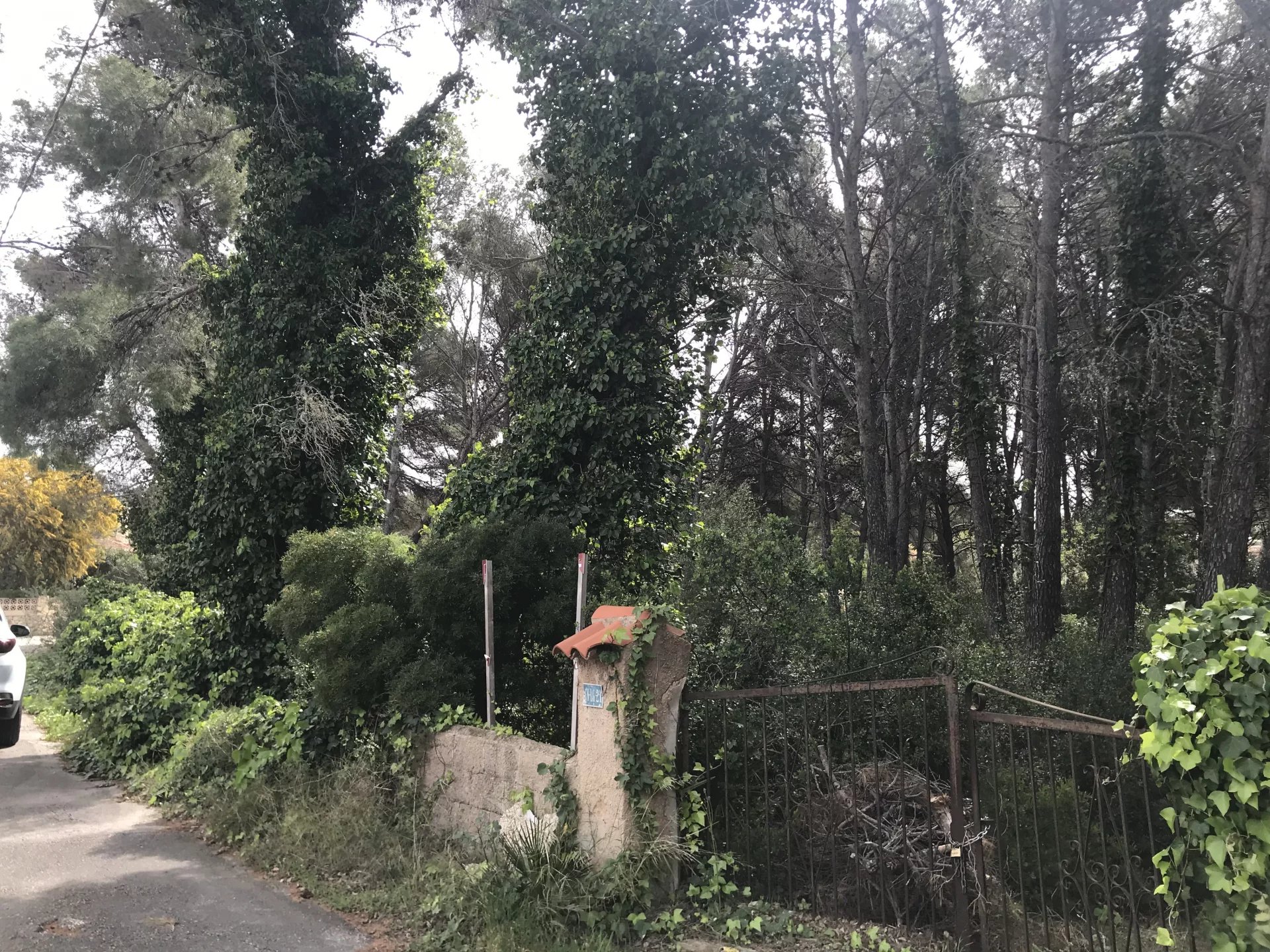 Land, For Sale Land, For Sale