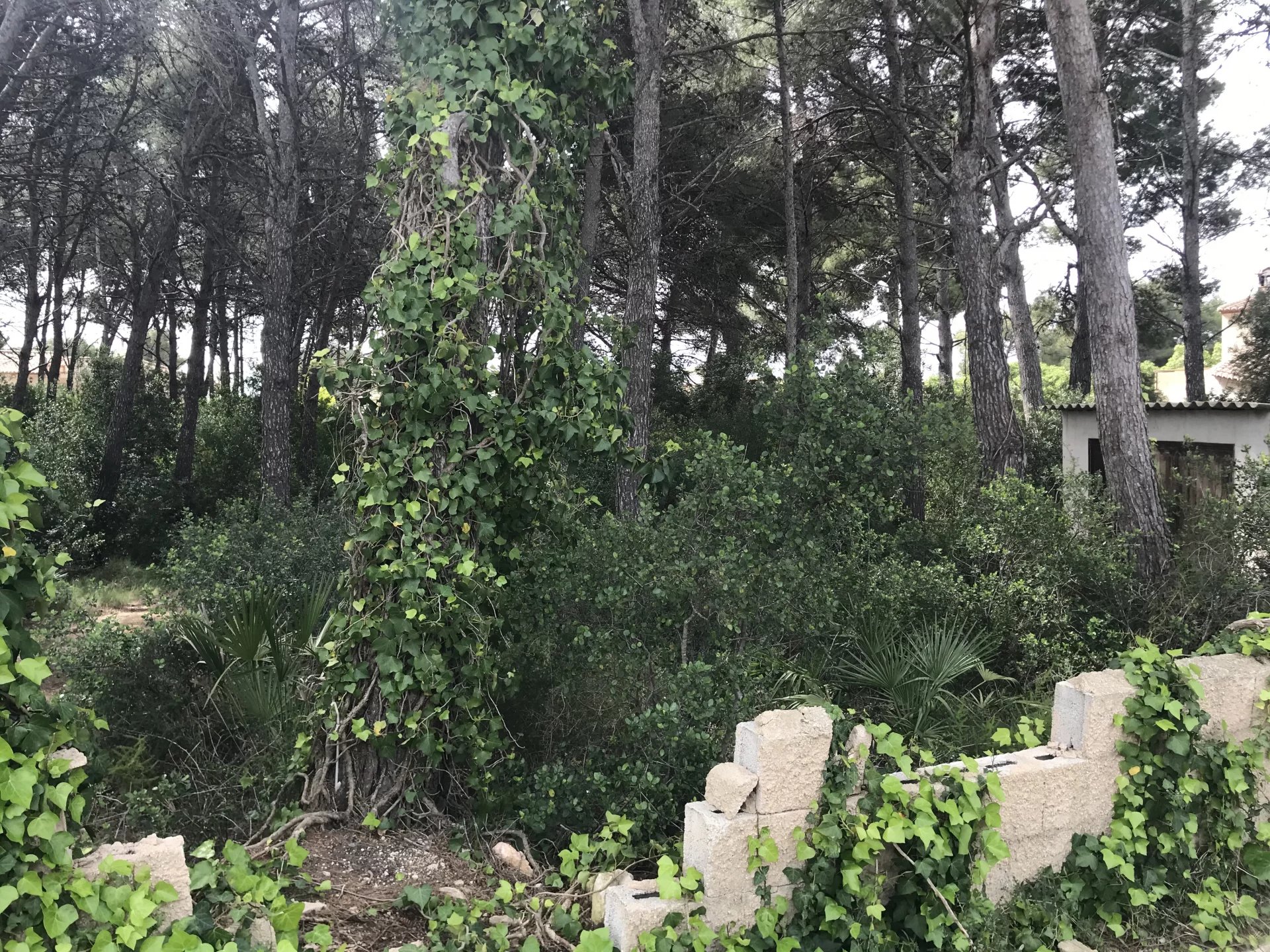 Land, For Sale Land, For Sale