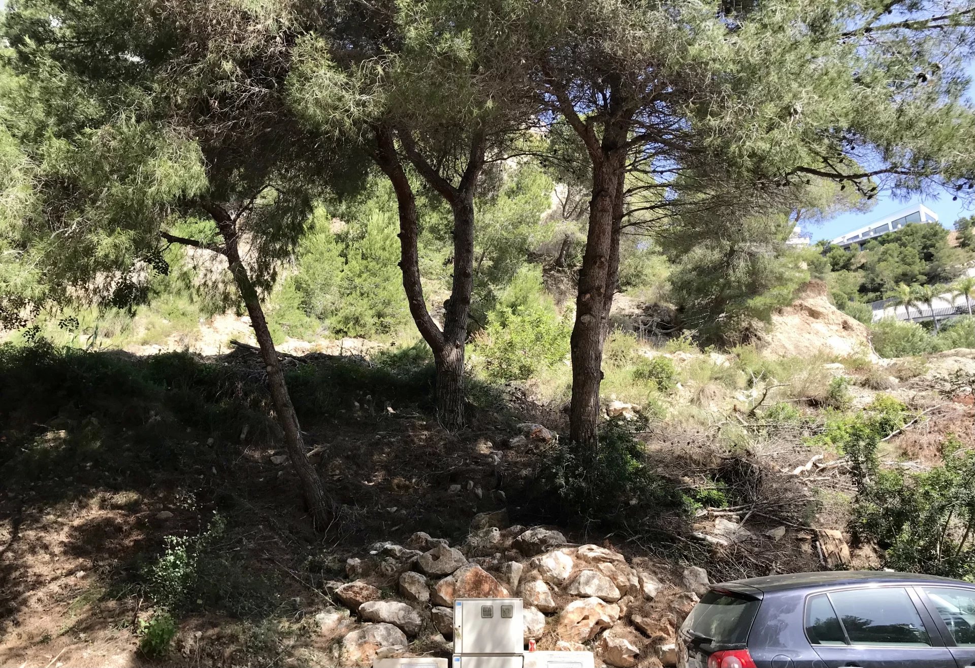 Land, For Sale Land, For Sale