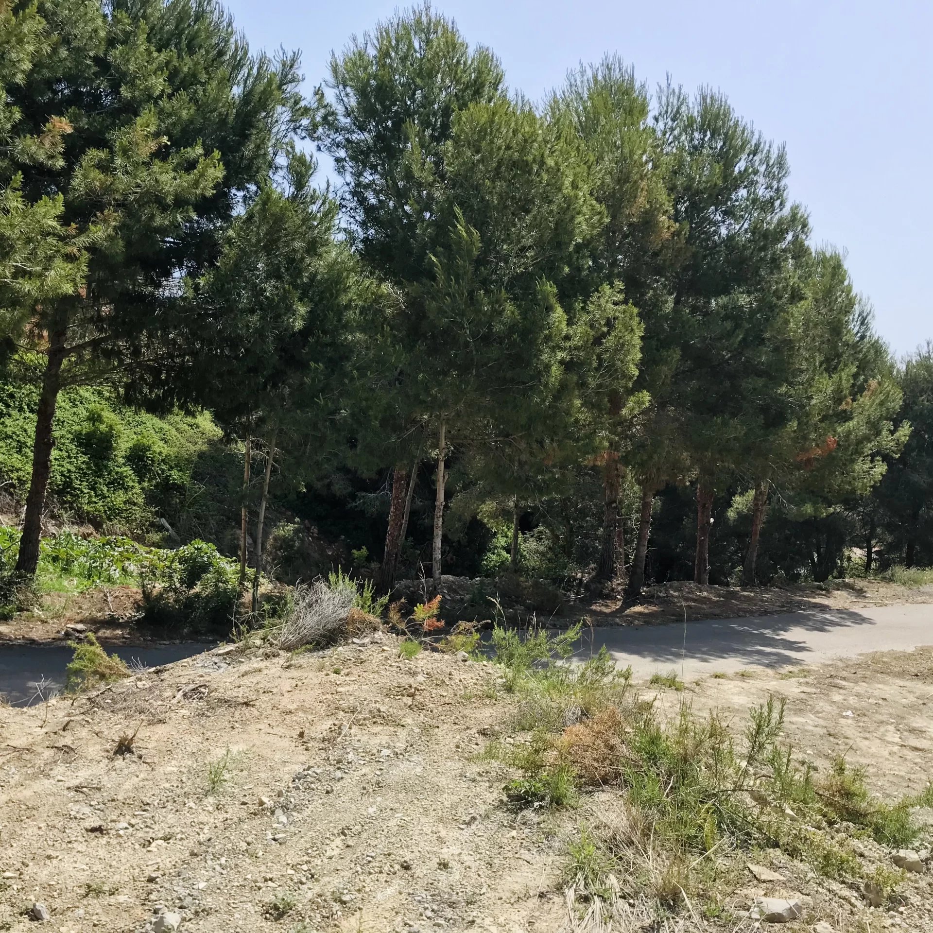 Land, For Sale Land, For Sale