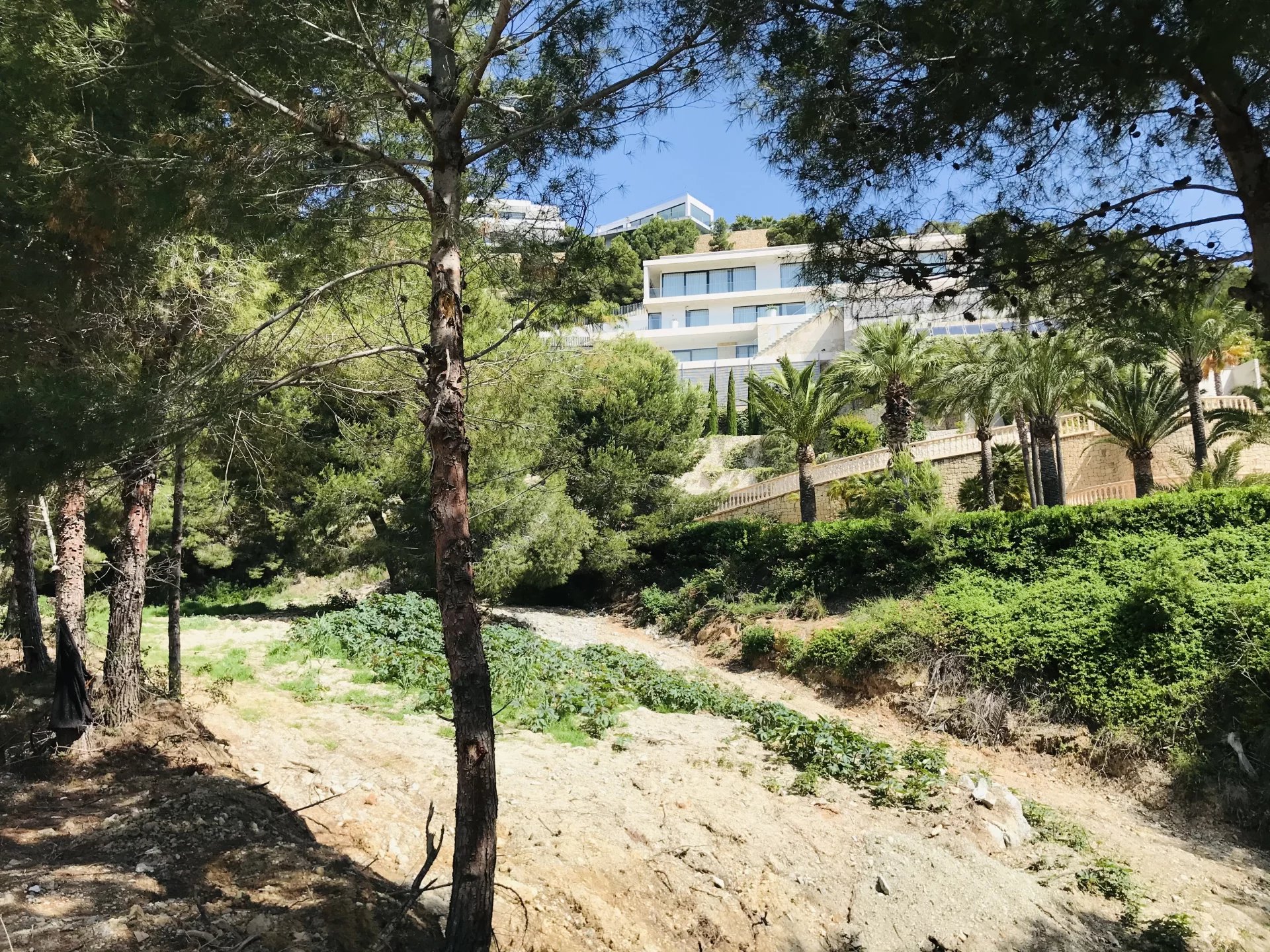 Land, For Sale Land, For Sale