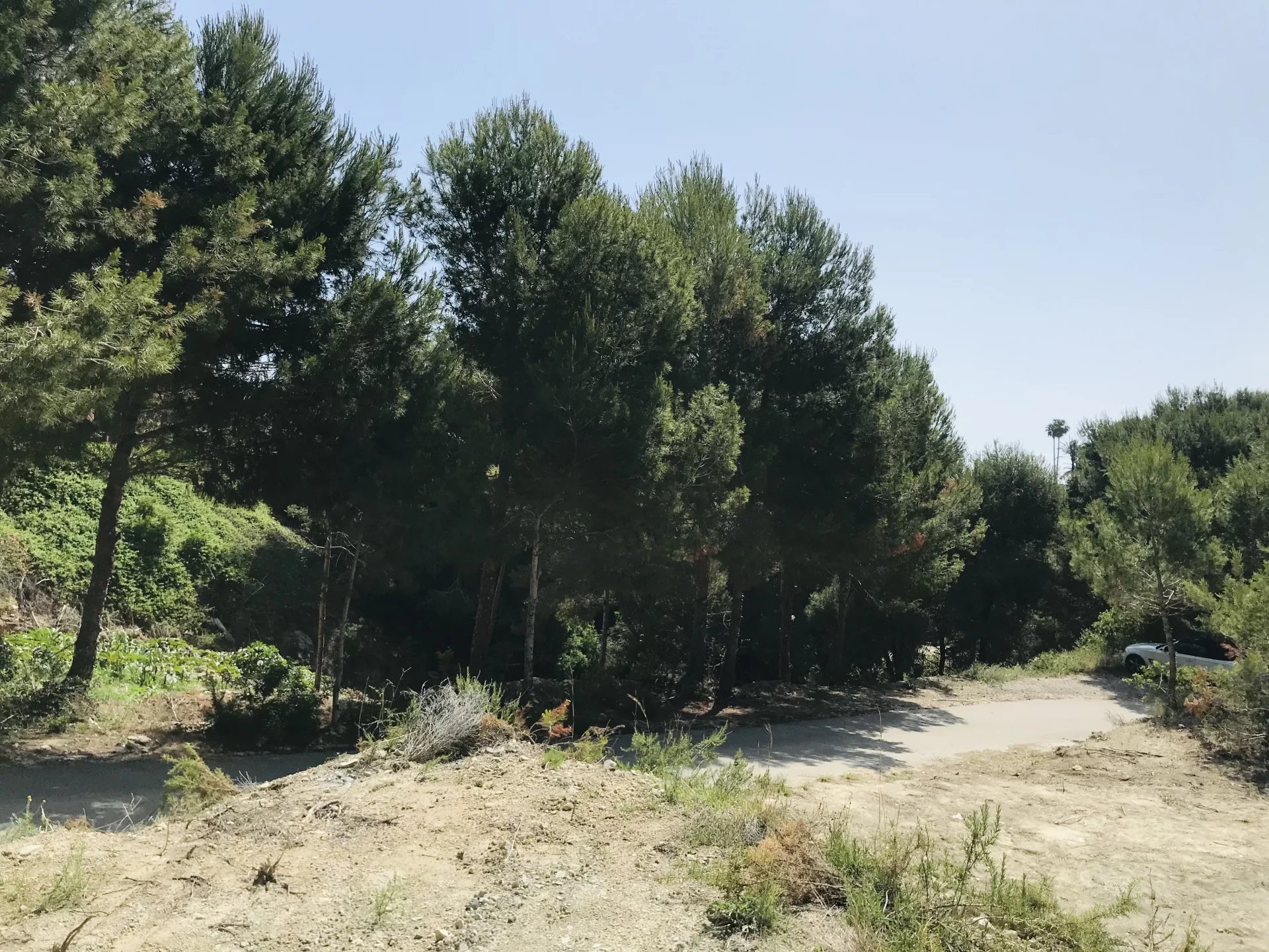 Land, For Sale Land, For Sale