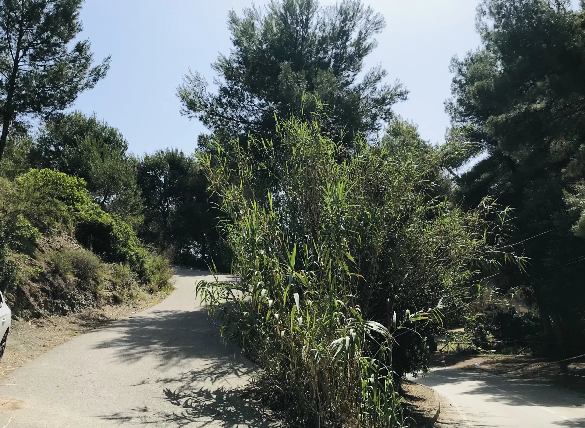 Land, For Sale Land, For Sale