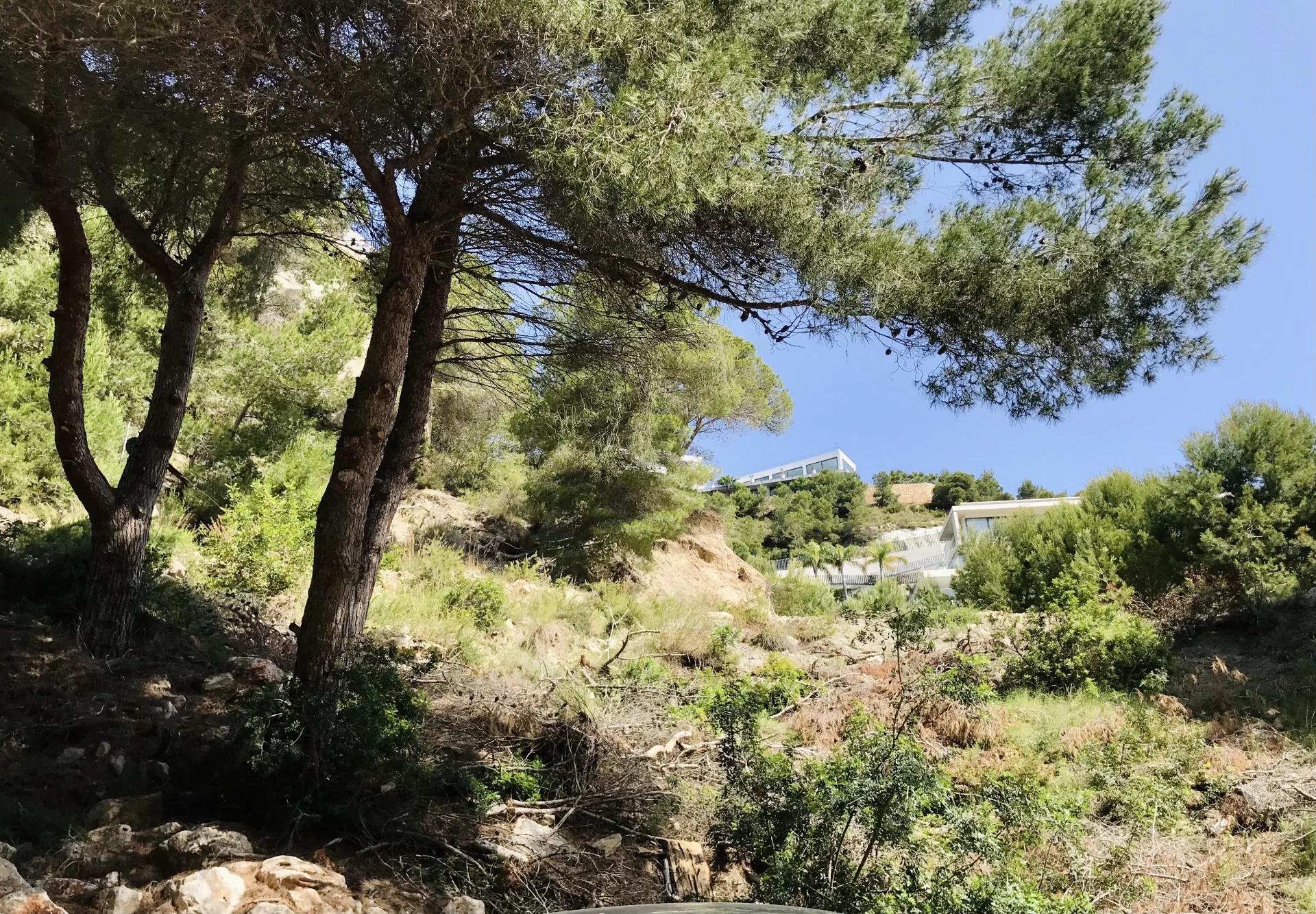 Land, For Sale Land, For Sale
