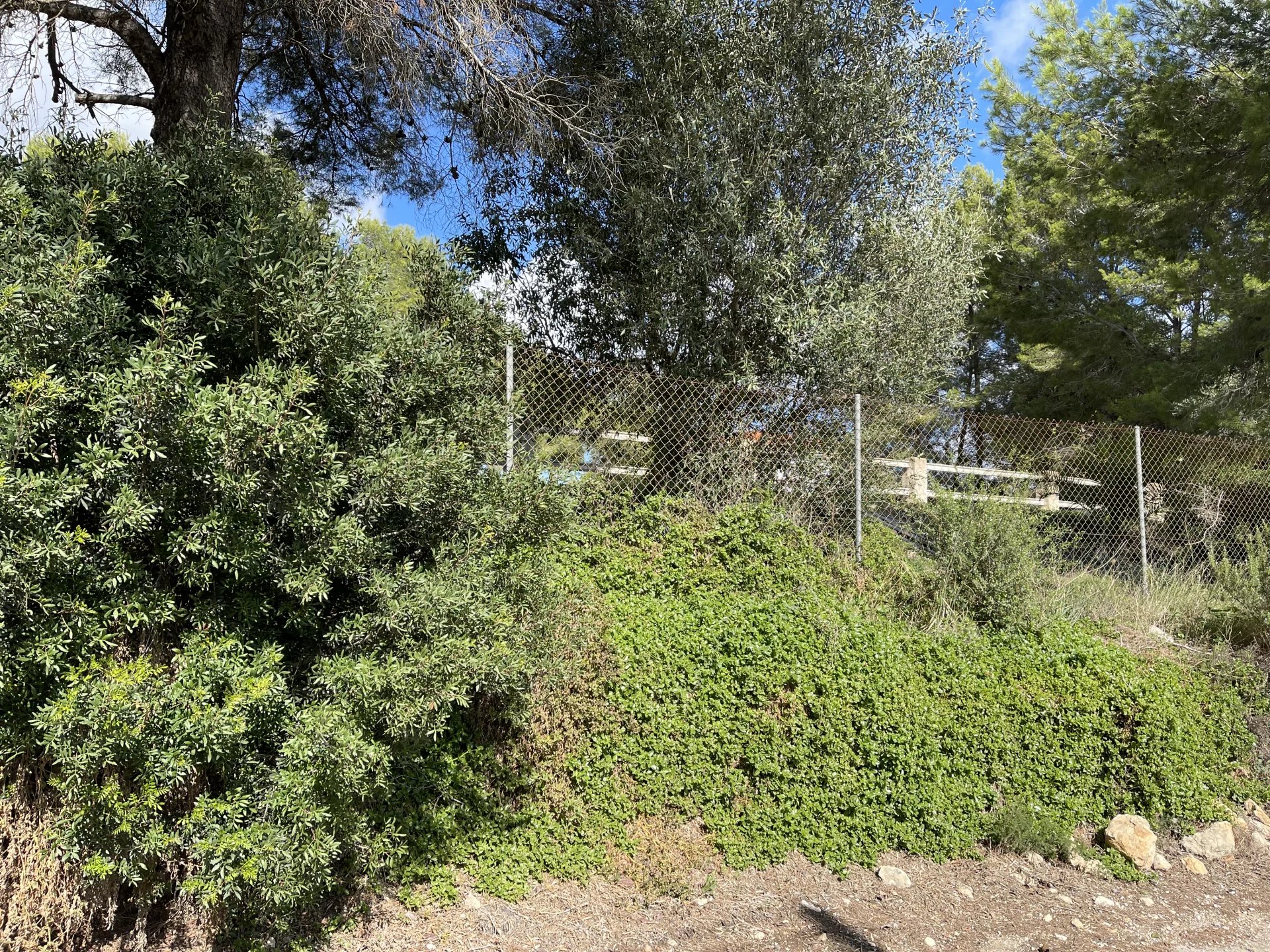 Land, For Sale Land, For Sale