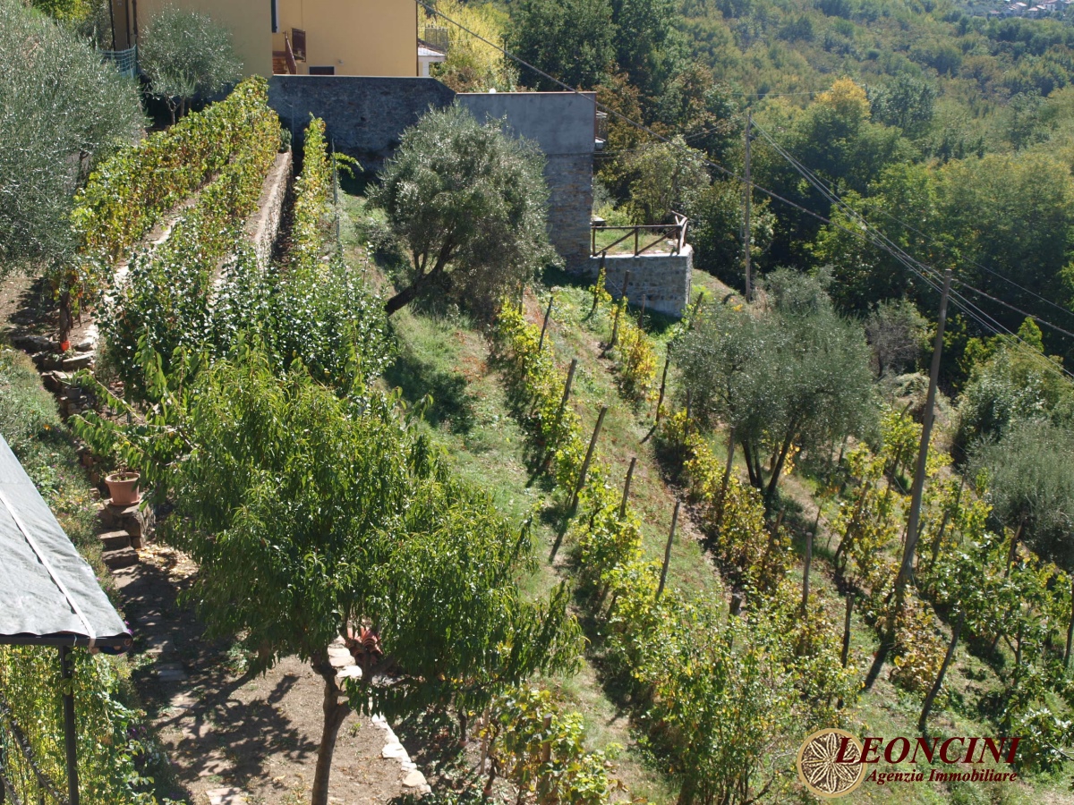 2 Bed, HouseFor Sale, Toscana 2 Bed, HouseFor Sale, Toscana