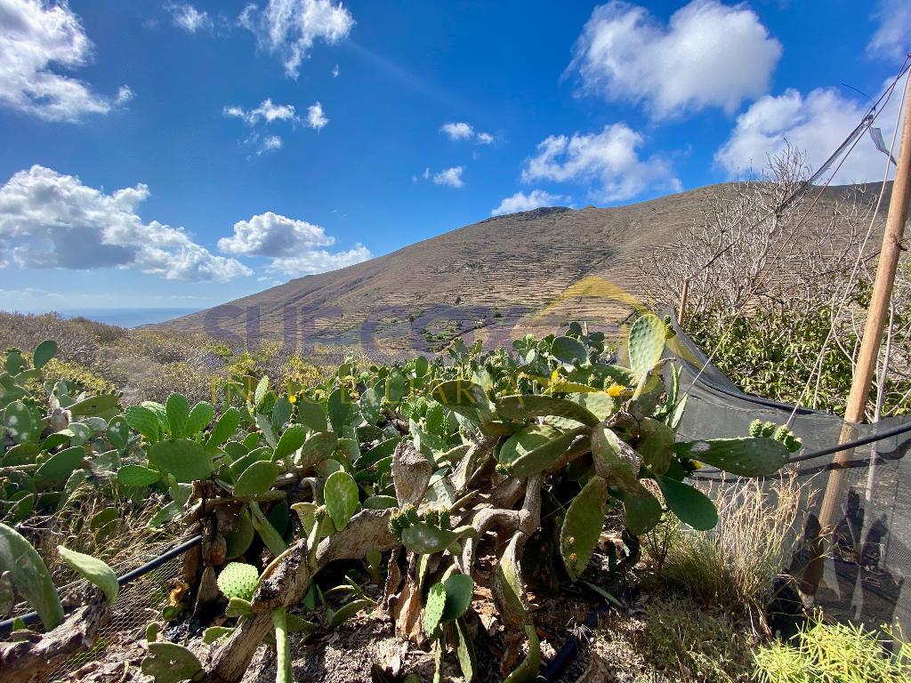 2 Bed, HouseFor Sale, Diseminado Pedregal, Tabayesco, Lanzarote, Isla Canarias, 35542 2 Bed, HouseFor Sale, Diseminado Pedregal, Tabayesco, Lanzarote, Isla Canarias, 35542