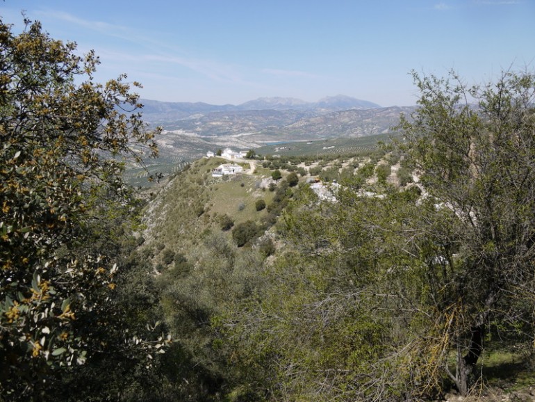 Land, For Sale Land, For Sale