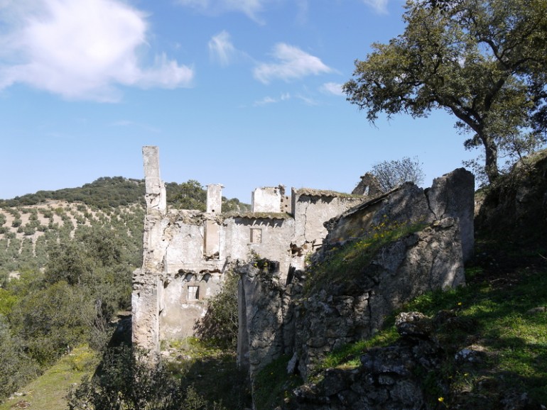 Land, For Sale Land, For Sale