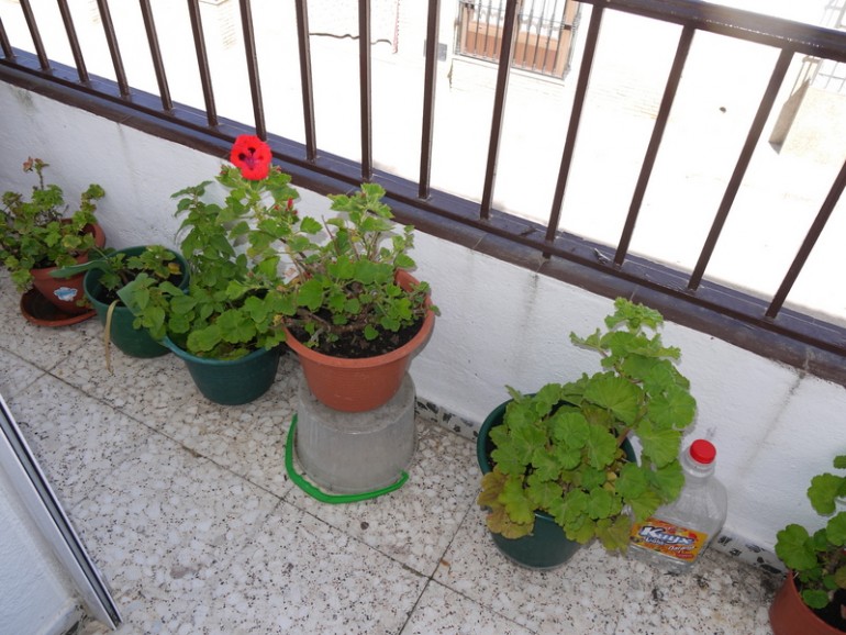 3 Bed, 2 Bath, HouseFor Sale, Pruna, Andalucia