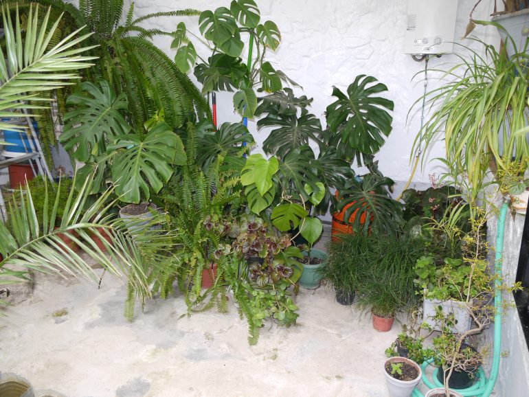 3 Bed, 1 Bath, HouseFor Sale, Olvera, Andalucia 3 Bed, 1 Bath, HouseFor Sale, Olvera, Andalucia