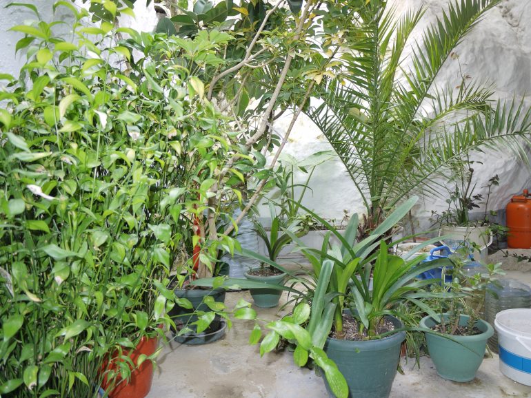 3 Bed, 1 Bath, HouseFor Sale, Olvera, Andalucia 3 Bed, 1 Bath, HouseFor Sale, Olvera, Andalucia