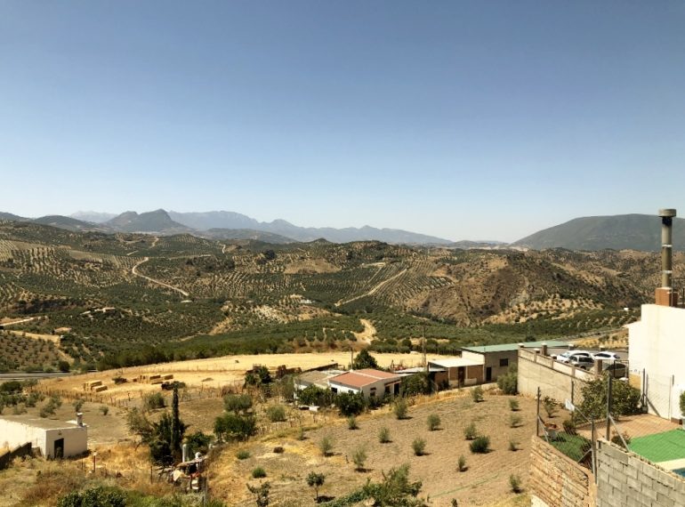 3 Bed, 1 Bath, HouseFor Sale, Olvera, Andalucia 3 Bed, 1 Bath, HouseFor Sale, Olvera, Andalucia