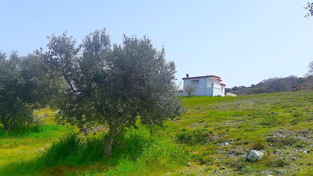 1 Bed, 1 Bath, HouseFor Sale, Rethymno, Crete, 74053