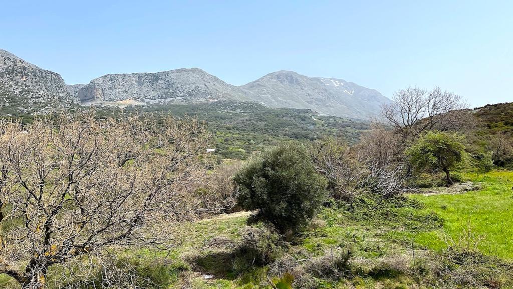 1 Bed, 1 Bath, HouseFor Sale, Rethymno, Crete, 74053