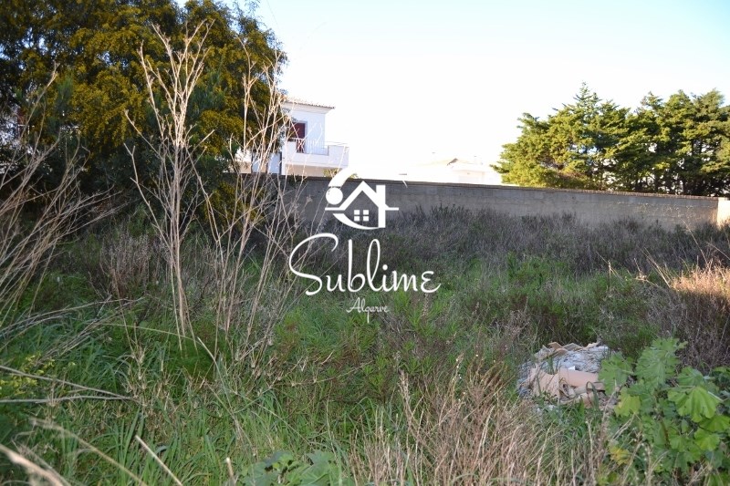 3 Bed, 3 Bath, HouseFor Sale, Phuket, Patong, West