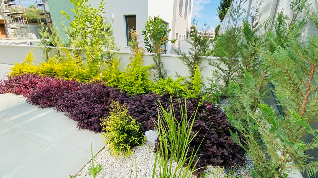 2 Bed, 1 Bath, HouseFor Sale, Limassol, Limassol 2 Bed, 1 Bath, HouseFor Sale, Limassol, Limassol