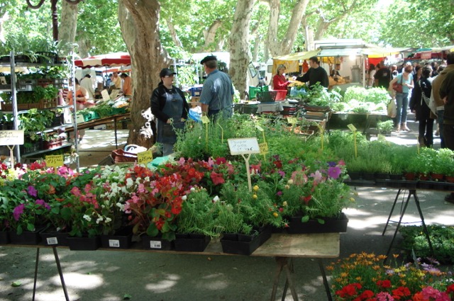 3 Bed, 3 Bath, HouseFor Sale, Saint Chinian, Herault, Languedoc-Roussillon, 34360