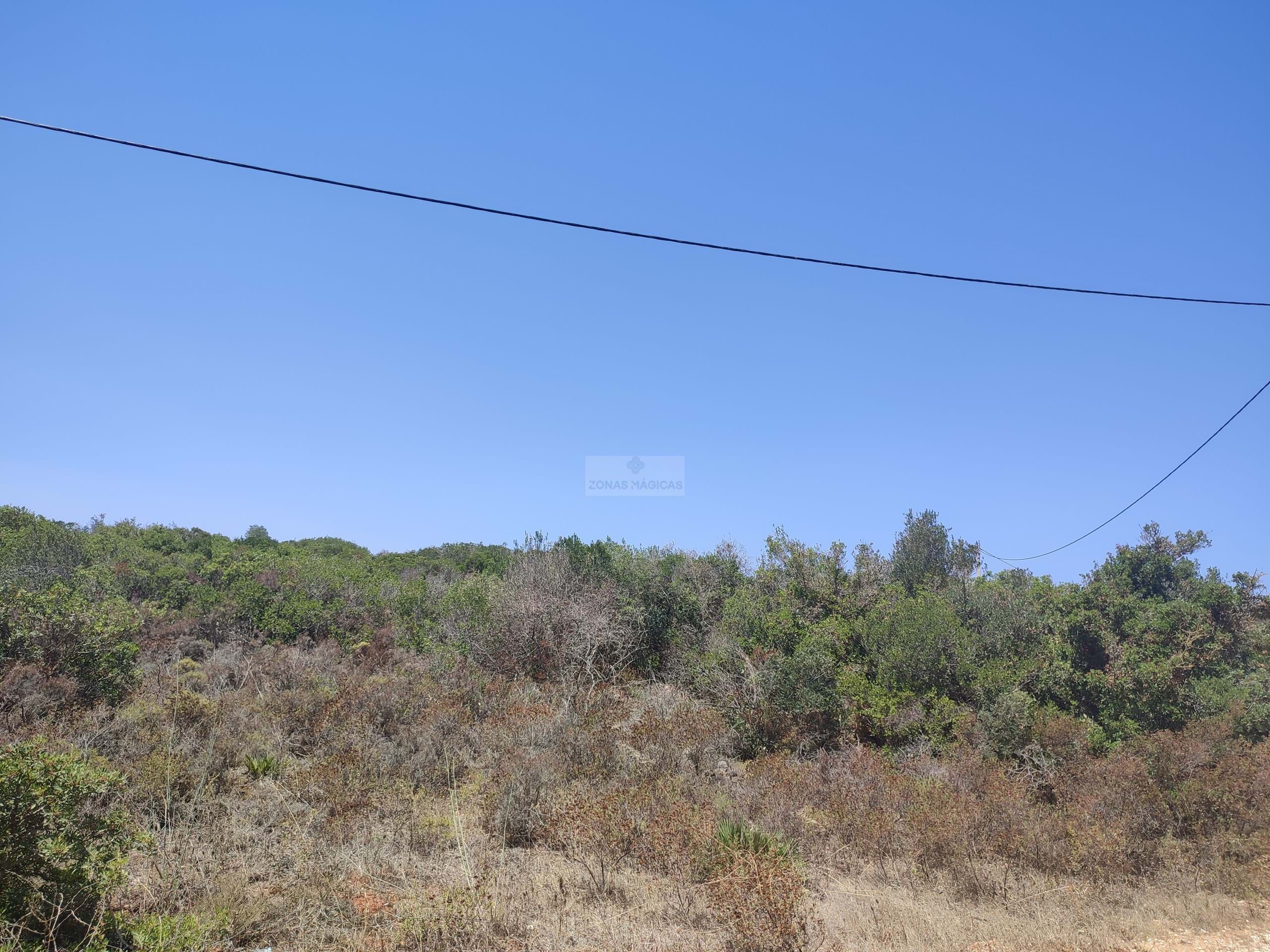 Land, For Sale