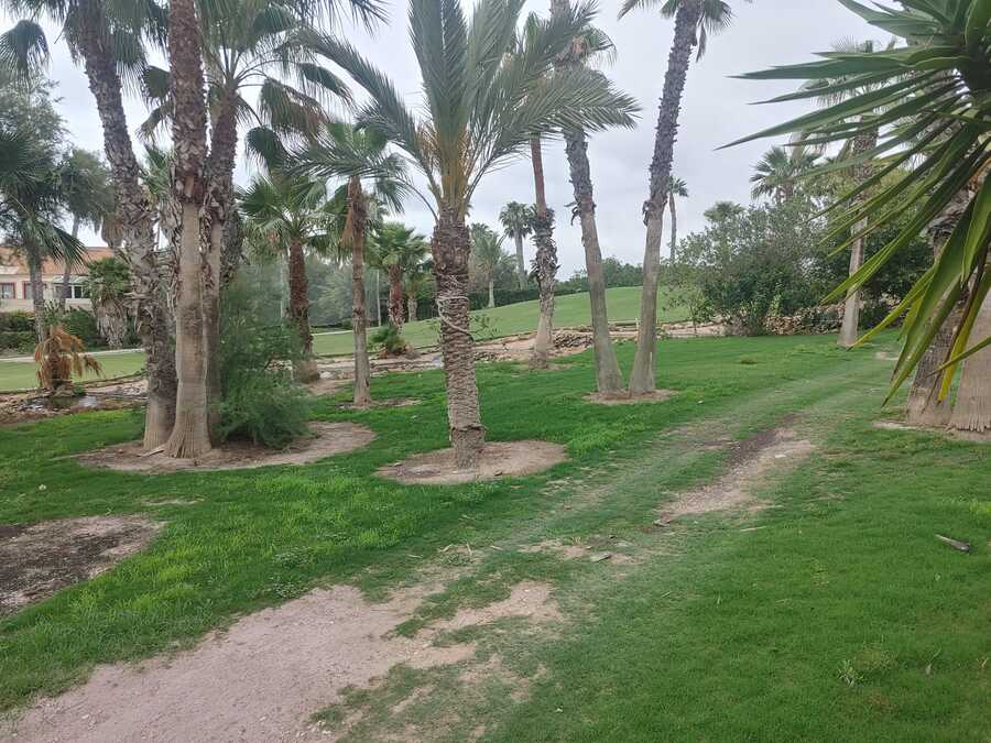 6 Bed, ApartmentFor Sale, Alicante, Alicante