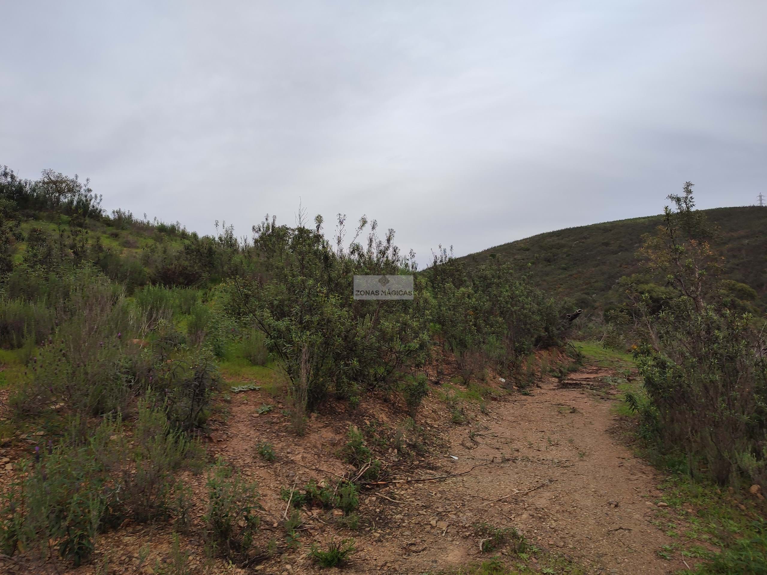 3 Bed, 1 Bath, HouseFor Sale, Lagos, Faro, 8600-090