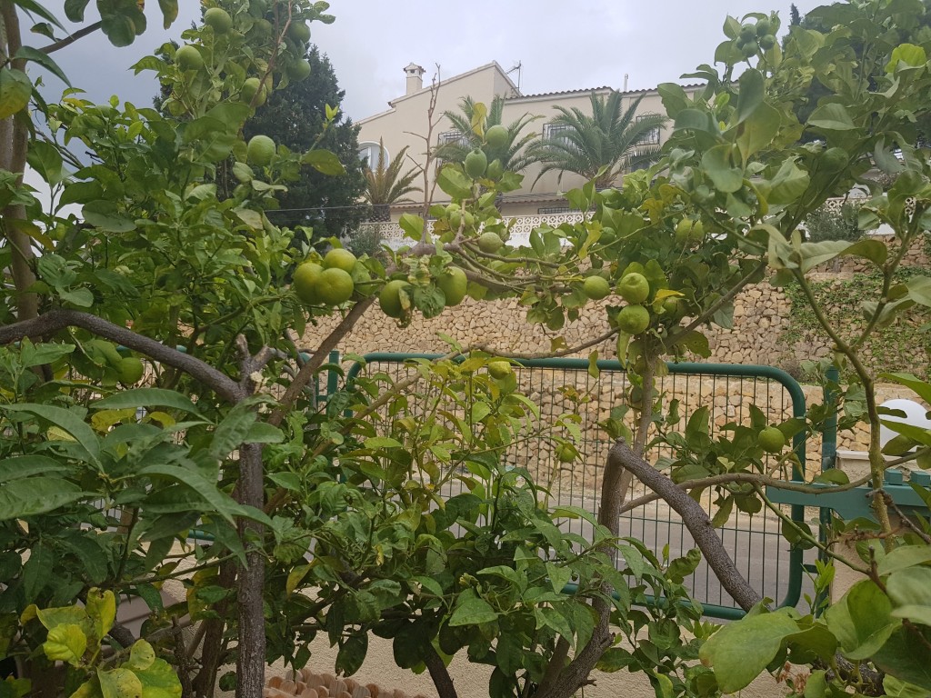 5 Bed, 4 Bath, HouseFor Sale, Alfaz del Pi, Alicante 5 Bed, 4 Bath, HouseFor Sale, Alfaz del Pi, Alicante