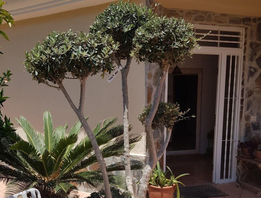 5 Bed, 4 Bath, HouseFor Sale, Alfaz del Pi, Alicante 5 Bed, 4 Bath, HouseFor Sale, Alfaz del Pi, Alicante