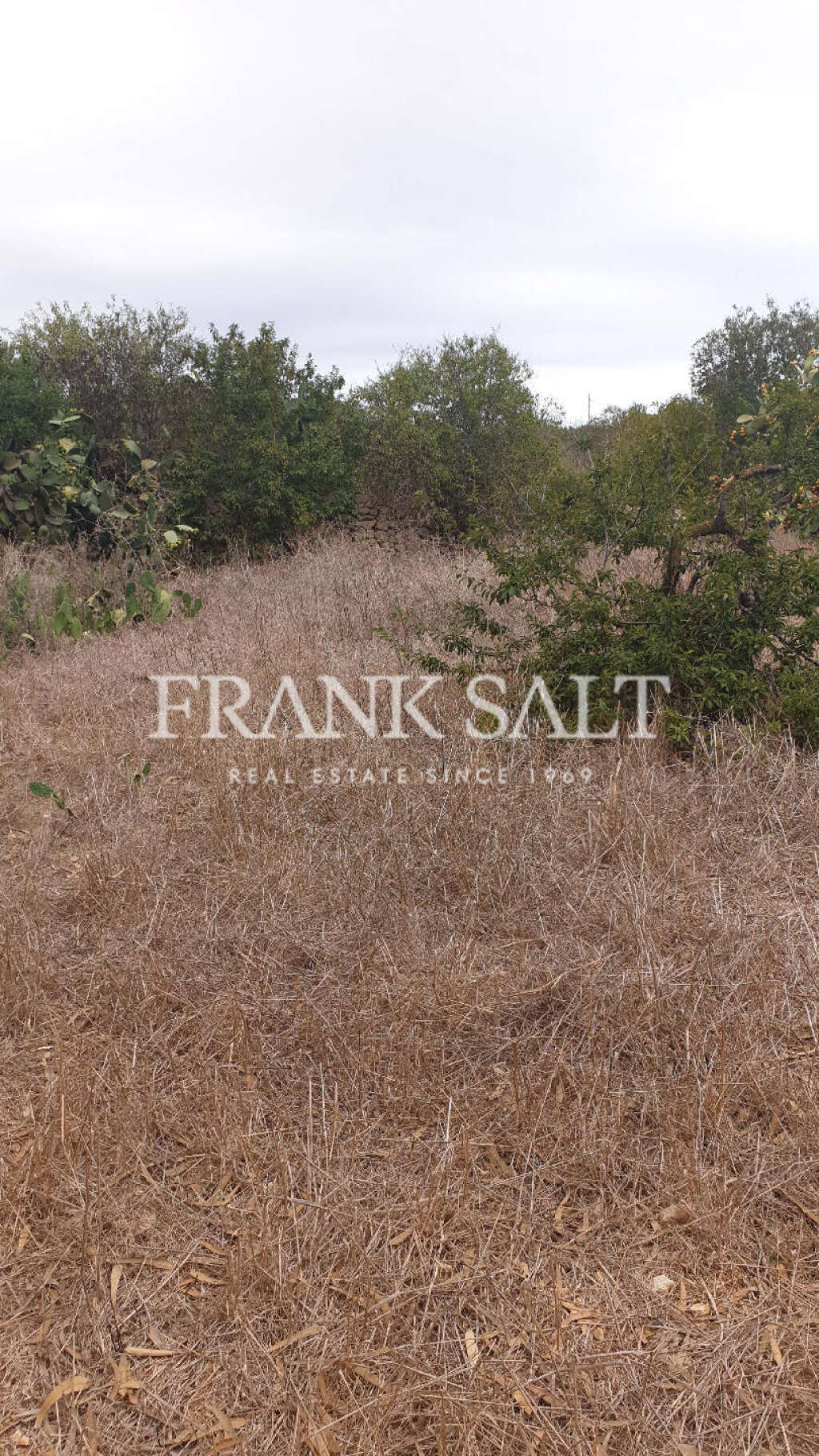 Commercial Property, For Sale