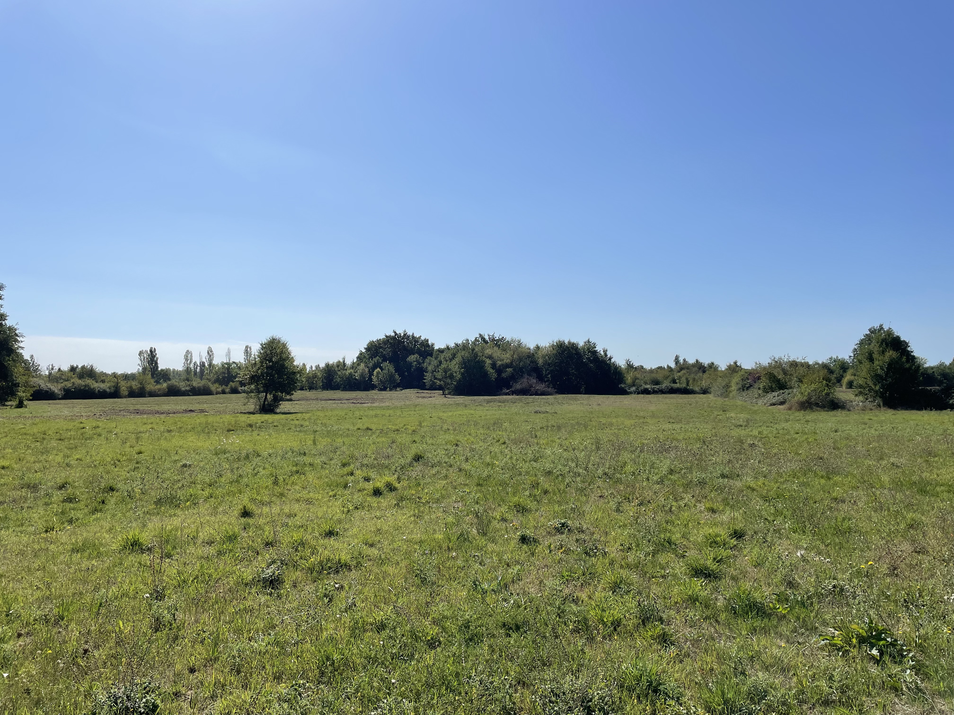 Land, For Sale