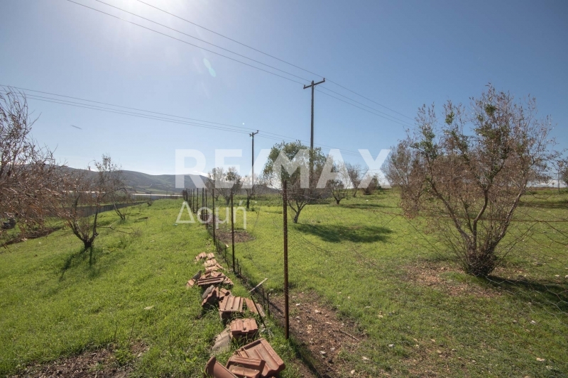 HouseFor Sale, Sesklo, Aisonia, Magnesia