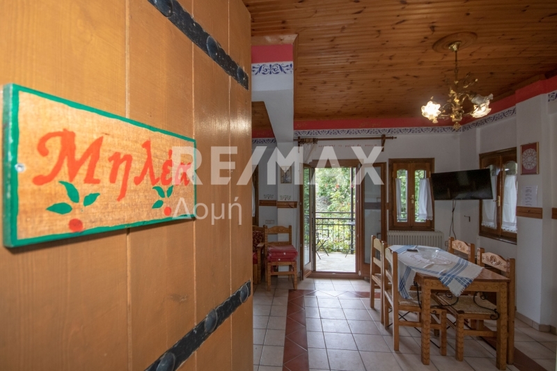 6 Bed, 4 Bath, HouseFor Sale, Tsagkarada, Mouresi, Magnesia