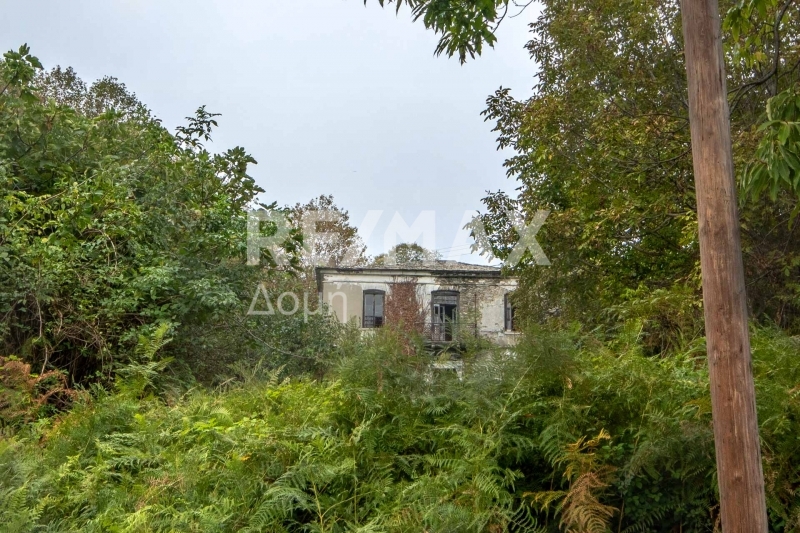 HouseFor Sale, Tsagkarada, Mouresi, Magnesia